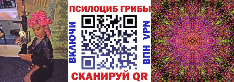 Галлюциногенные грибы Psilocybine cubensis  Плёс 